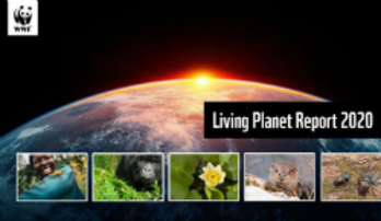 WWF Lanserar Living Planet Report 2020